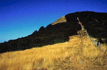 Panorama nei pressi del Monte Gottero